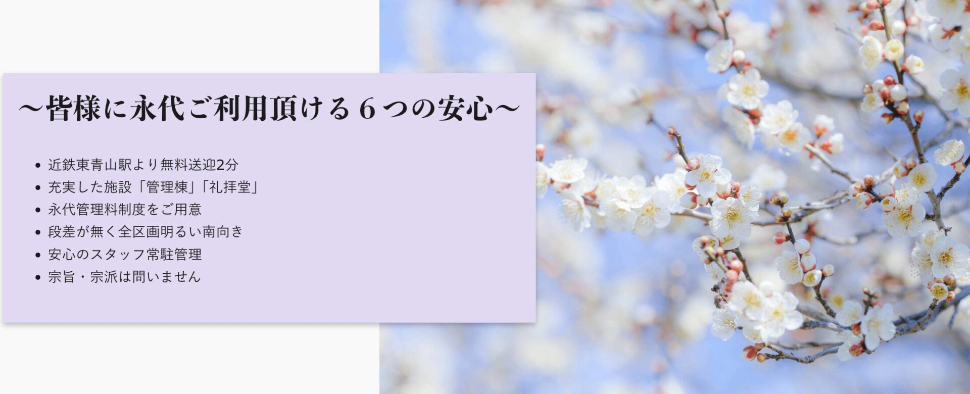 青山メモリアルパークの画像