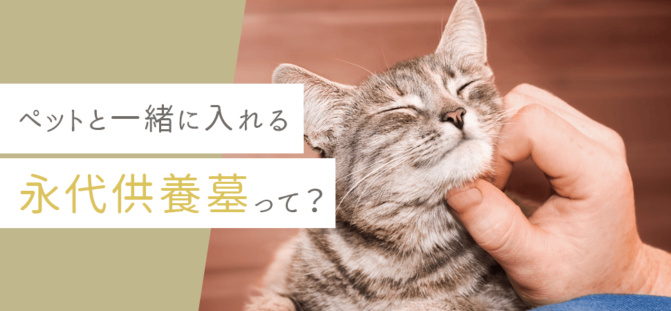 「ペットと一緒に入れる永代供養墓って?」の見出し画像